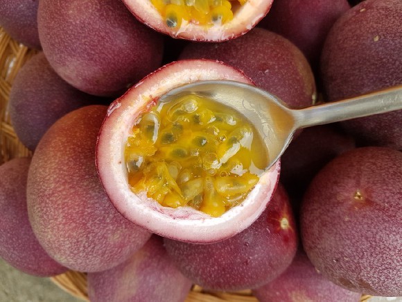신맛밖에 안 나는데 의외로 좋아하는 사람들이 많은 과일.jpg | 인스티즈