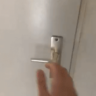 피자 배달부가 된 댕댕이.gif | 인스티즈