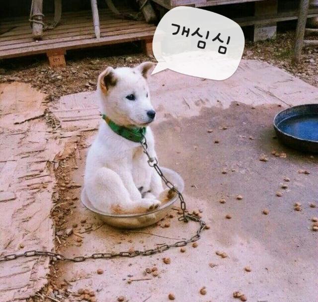 놀자 이미지