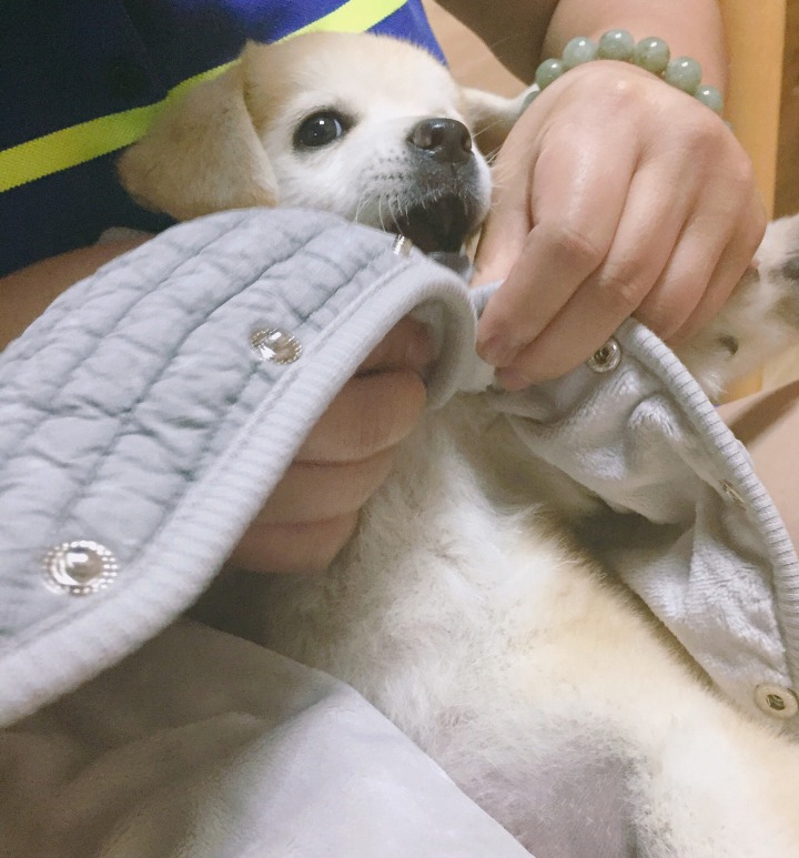 재업로드된 짱절미 사진 모음집.jpg(사진29장) | 인스티즈