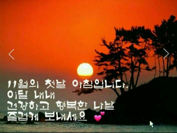시작 이미지