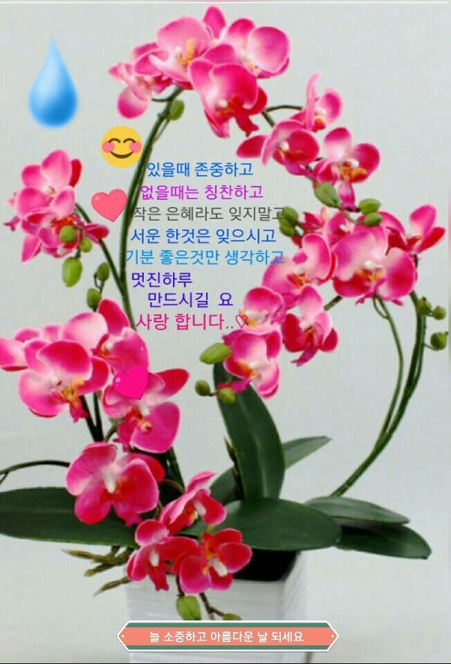 행복모음카페 이미지