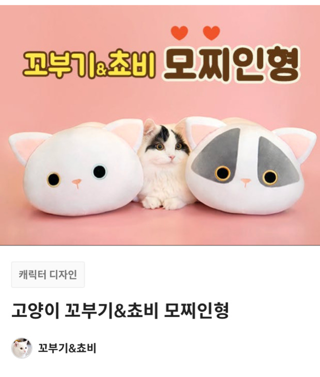 ＜복제품을 보시면 제보해주세요＞ (feat.꼬부기인형) | 인스티즈