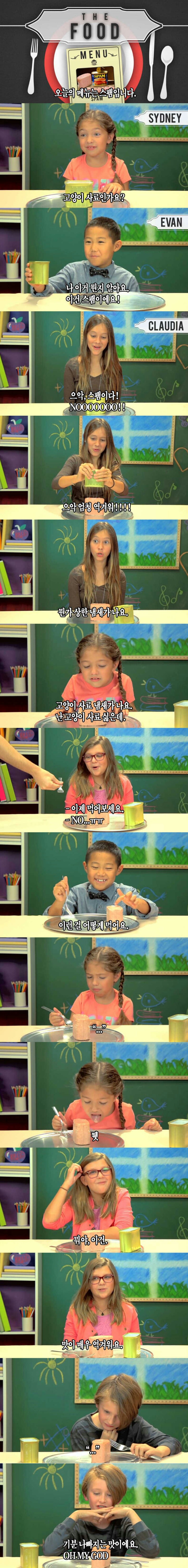 미국 어린이들에게 스팸 주었을때 반응 | 인스티즈
