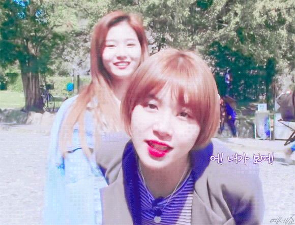 ???: 이제 벌들이 저한테 따라올지도 몰라요 | 인스티즈