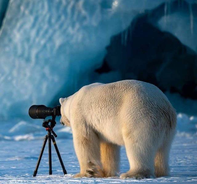 댓글이 필요 없는 사진들 | 인스티즈