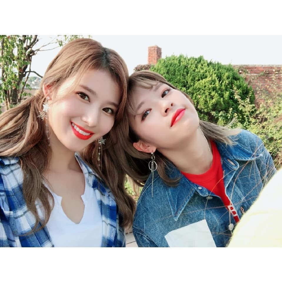 시바견인가 다람쥐인가....... 사나 | 인스티즈