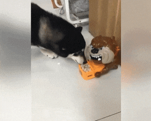 눈칫밥 레전드.gif | 인스티즈