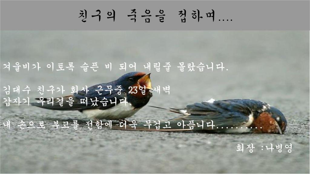 김대수 이미지