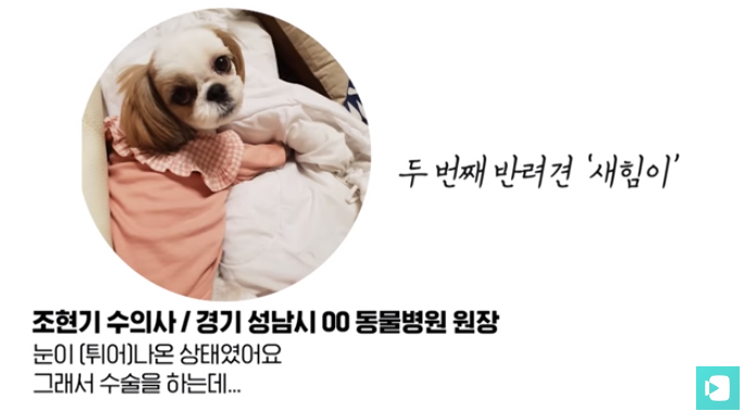 폭염 속 버려진 똘똘이가 모니로 개명한 사연 | 인스티즈