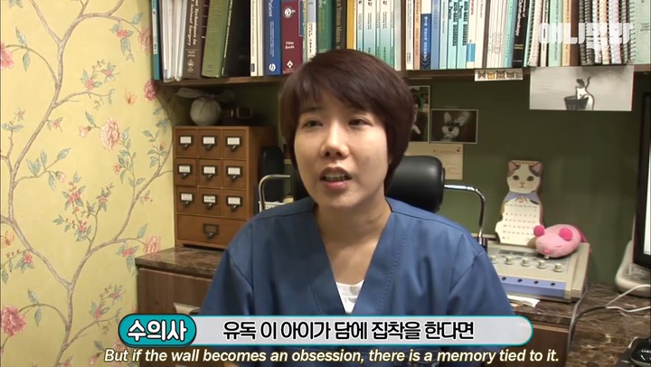 모른척 지나가면 짖는 삼식이.jpg | 인스티즈