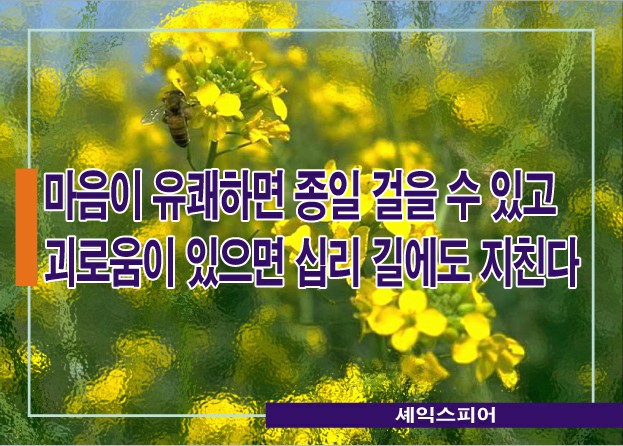 지구청소 이미지