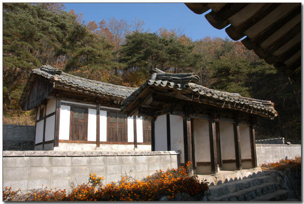 경광 이미지