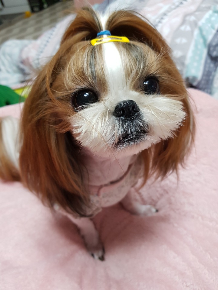 또랑 이미지