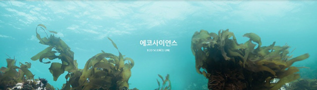 이니스프리가 얼마나 제주도를 탈탈 터는지 알아보자(feat.제주도 착즙기 브랜드).jpg | 인스티즈