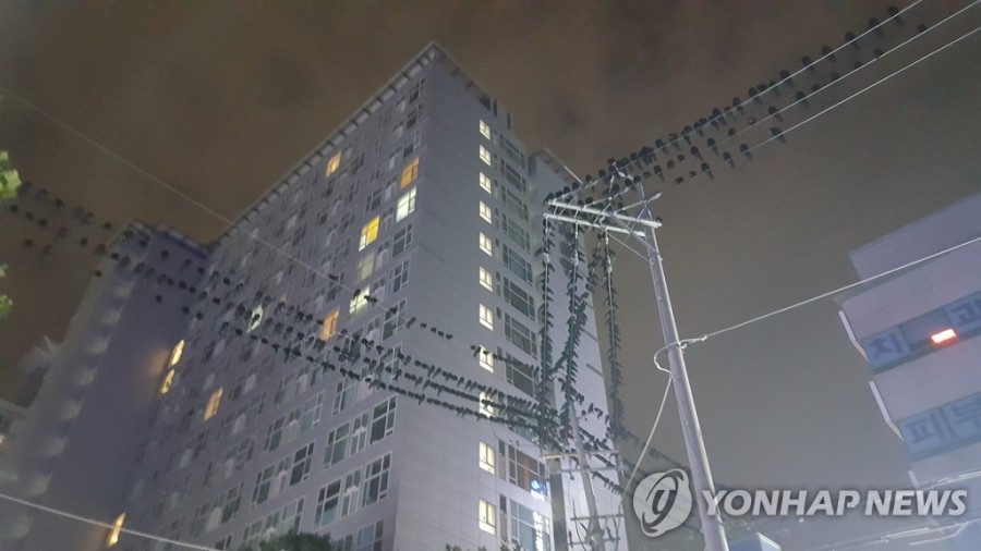 수원 까마귀 정모 | 인스티즈